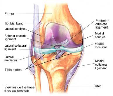 knee-disorder-disability-benefits-claim knee disorder disability insurance benefits claim