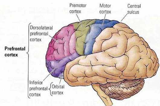 speech disorders