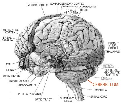 ataxia-disability-claim ataxia disability claim