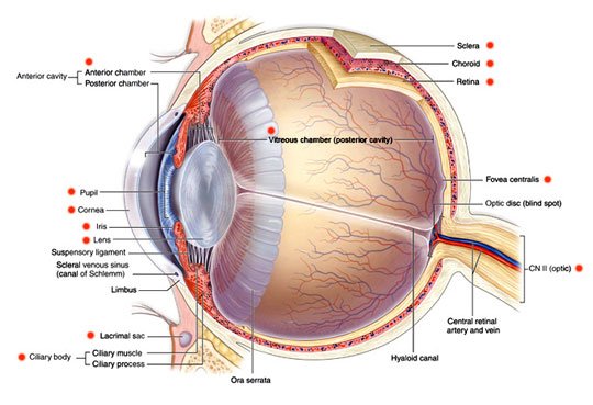 Eye Problems
