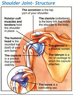 shoulder pain disability claim